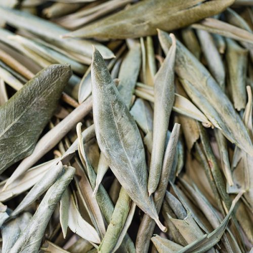 Organic Olive Leaf Herbal Tea – French Loose Leaf Infusion 40g