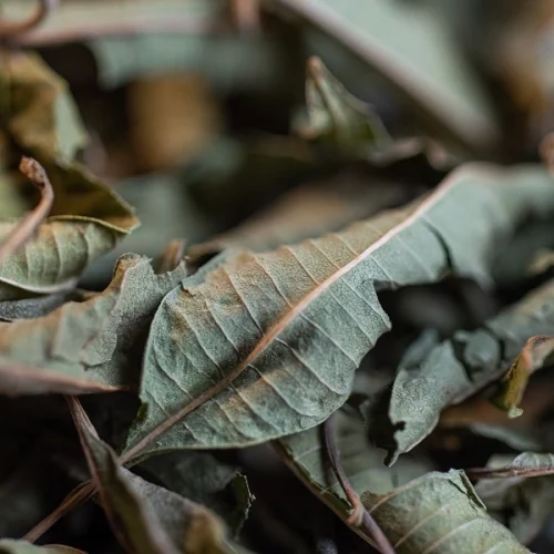 Organic Verbena Leaf Tea – Lemon Verbena Herbal Infusion 50g