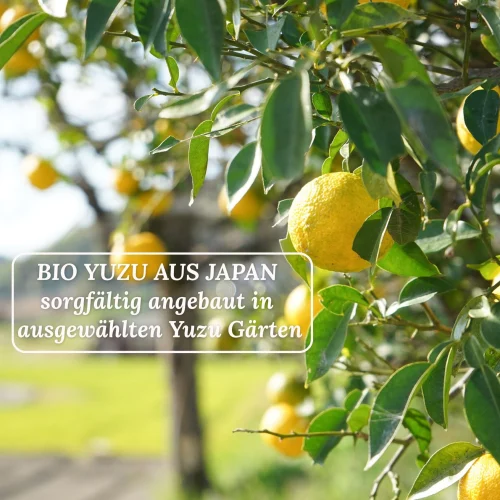 Biomatea Ceremonial Yuzu Matcha Powder – 30g